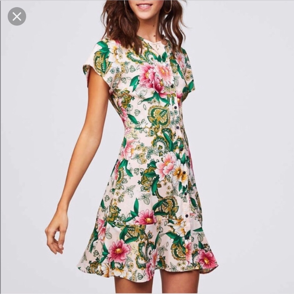 NWOT LOFT Camellia Garden Floral Dress size 4